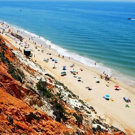 Quinta Palmeiras 쿼테이라