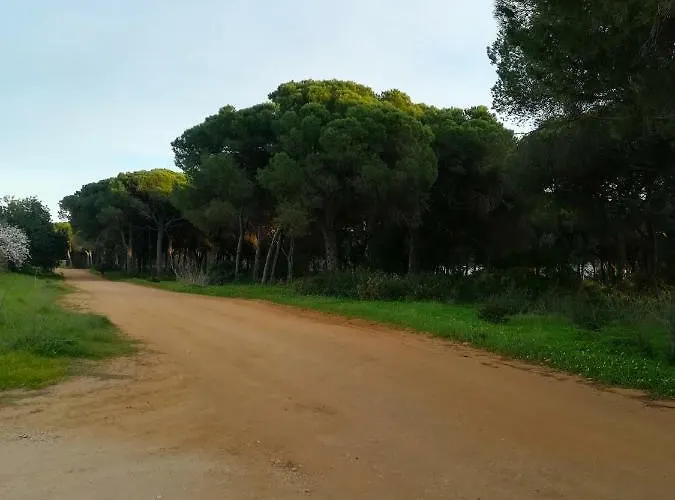 Quinta Palmeiras Quarteira