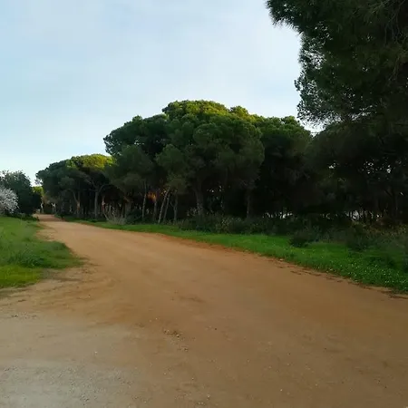 Quinta Palmeiras Quarteira